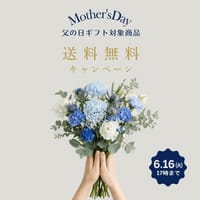 七味家の父の日ギフト