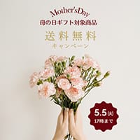 七味家の母の日ギフト